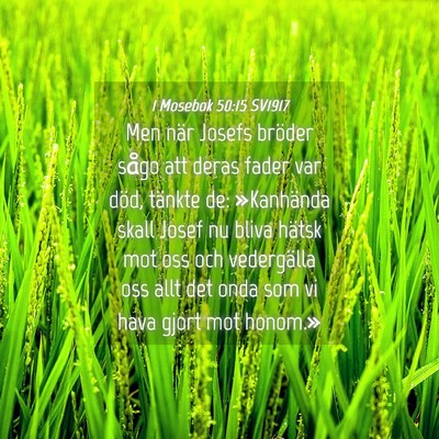 Picture 04 - 1 Mosebok 50:15 SV1917 - Men när Josefs bröder sågo att deras fader var - Bible Verse Picture