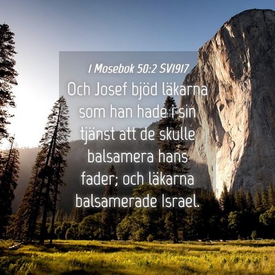 Picture 04 - 1 Mosebok 50:2 SV1917 - Och Josef bjöd läkarna som han hade i sin - Bible Verse Picture