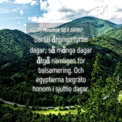 Picture 04 - 1 Mosebok 50:3 SV1917 - Därtill åtgingo fyrtio dagar; så många dagar - Bible Verse Picture