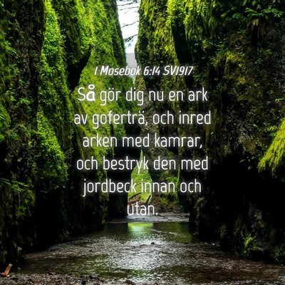 Picture 04 - 1 Mosebok 6:14 SV1917 - Så gör dig nu en ark av goferträ, och inred - Bible Verse Picture