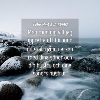 Picture 04 - 1 Mosebok 6:18 SV1917 - Men med dig vill jag upprätta ett förbund: du - Bible Verse Picture