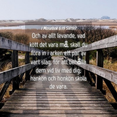 Picture 04 - 1 Mosebok 6:19 SV1917 - Och av allt levande, vad kött det vara må, - Bible Verse Picture
