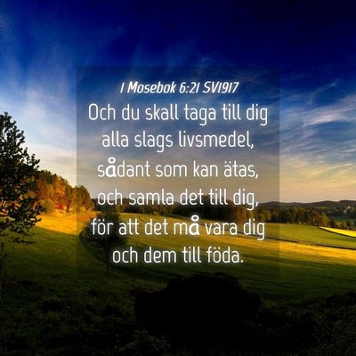 Picture 04 - 1 Mosebok 6:21 SV1917 - Och du skall taga till dig alla slags livsmedel, - Bible Verse Picture