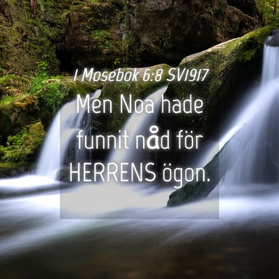 Picture 04 - 1 Mosebok 6:8 SV1917 - Men Noa hade funnit nåd för HERRENS - Bible Verse Picture