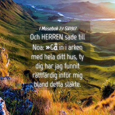 Picture 04 - 1 Mosebok 7:1 SV1917 - Och HERREN sade till Noa: »Gå in i arken med - Bible Verse Picture