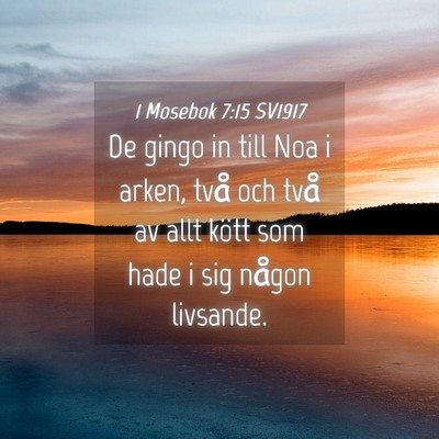 Picture 04 - 1 Mosebok 7:15 SV1917 - De gingo in till Noa i arken, två och två av - Bible Verse Picture