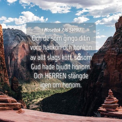 Picture 04 - 1 Mosebok 7:16 SV1917 - Och de som gingo ditin voro hankön och honkön - Bible Verse Picture