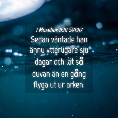 Picture 04 - 1 Mosebok 8:10 SV1917 - Sedan väntade han ännu ytterligare sju dagar - Bible Verse Picture