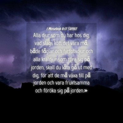Picture 04 - 1 Mosebok 8:17 SV1917 - Alla djur som du har hos dig, vad slags kött det - Bible Verse Picture
