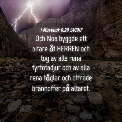 Picture 04 - 1 Mosebok 8:20 SV1917 - Och Noa byggde ett altare åt HERREN och tog av - Bible Verse Picture