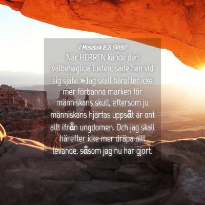Picture 04 - 1 Mosebok 8:21 SV1917 - När HERREN kände den välbehagliga lukten, sade - Bible Verse Picture