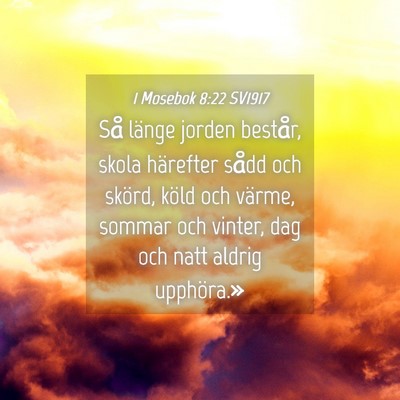 Picture 04 - 1 Mosebok 8:22 SV1917 - Så länge jorden består, skola härefter sådd - Bible Verse Picture