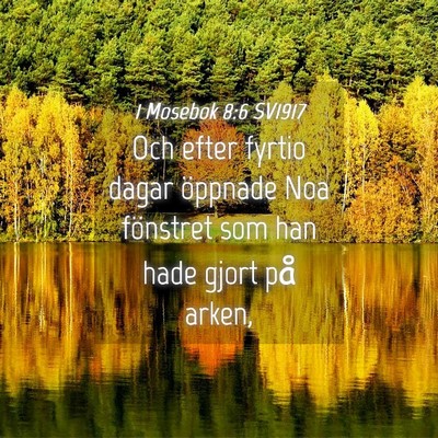 Picture 04 - 1 Mosebok 8:6 SV1917 - Och efter fyrtio dagar öppnade Noa fönstret som - Bible Verse Picture