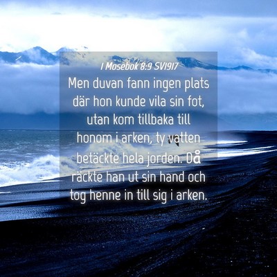 Picture 04 - 1 Mosebok 8:9 SV1917 - Men duvan fann ingen plats där hon kunde vila - Bible Verse Picture