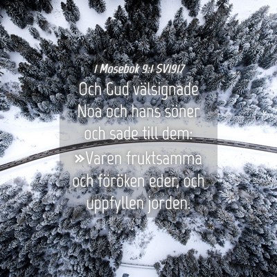 Picture 04 - 1 Mosebok 9:1 SV1917 - Och Gud välsignade Noa och hans söner och sade - Bible Verse Picture