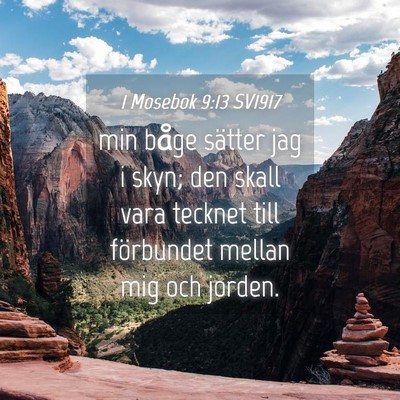 Picture 04 - 1 Mosebok 9:13 SV1917 - min båge sätter jag i skyn; den skall vara - Bible Verse Picture