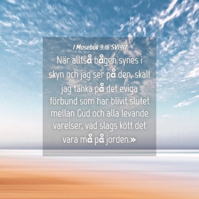 Picture 04 - 1 Mosebok 9:16 SV1917 - När alltså bågen synes i skyn och jag ser på - Bible Verse Picture