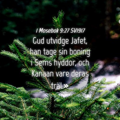 Picture 04 - 1 Mosebok 9:27 SV1917 - Gud utvidge Jafet, han tage sin boning i Sems - Bible Verse Picture