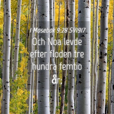 Picture 04 - 1 Mosebok 9:28 SV1917 - Och Noa levde efter floden tre hundra femtio - Bible Verse Picture