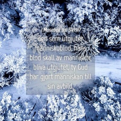 Picture 04 - 1 Mosebok 9:6 SV1917 - den som utgjuter människoblod, hans blod skall - Bible Verse Picture