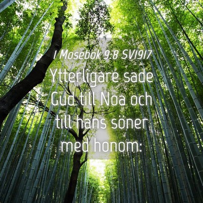 Picture 04 - 1 Mosebok 9:8 SV1917 - Ytterligare sade Gud till Noa och till hans - Bible Verse Picture