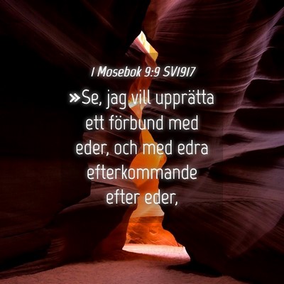 Picture 04 - 1 Mosebok 9:9 SV1917 - »Se, jag vill upprätta ett förbund med eder, - Bible Verse Picture
