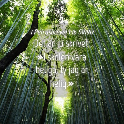 Picture 04 - 1 Petrusbrevet 1:16 SV1917 - Det är ju skrivet: »I skolen vara heliga, ty - Bible Verse Picture