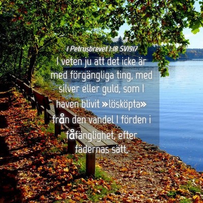 Picture 04 - 1 Petrusbrevet 1:18 SV1917 - I veten ju att det icke är med förgängliga - Bible Verse Picture