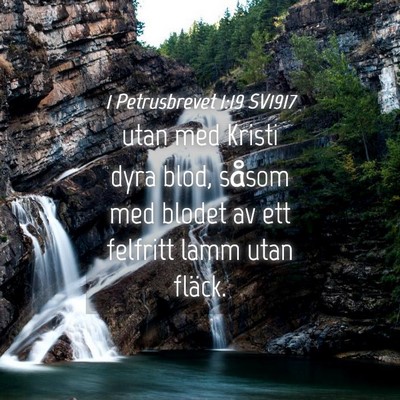 Picture 04 - 1 Petrusbrevet 1:19 SV1917 - utan med Kristi dyra blod, såsom med blodet av - Bible Verse Picture