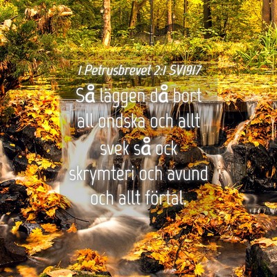 Picture 04 - 1 Petrusbrevet 2:1 SV1917 - Så läggen då bort all ondska och allt svek så - Bible Verse Picture