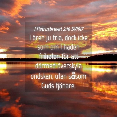 Picture 04 - 1 Petrusbrevet 2:16 SV1917 - I ären ju fria, dock icke som om I haden - Bible Verse Picture