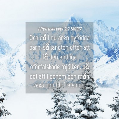 Picture 04 - 1 Petrusbrevet 2:2 SV1917 - Och då I nu ären nyfödda barn, så längten - Bible Verse Picture
