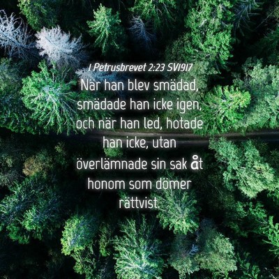 Picture 04 - 1 Petrusbrevet 2:23 SV1917 - När han blev smädad, smädade han icke igen, - Bible Verse Picture