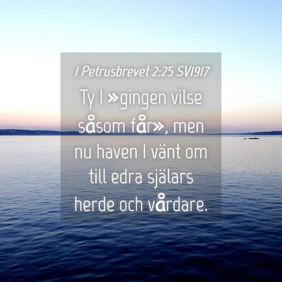Picture 04 - 1 Petrusbrevet 2:25 SV1917 - Ty I »gingen vilse såsom får», men nu haven I - Bible Verse Picture
