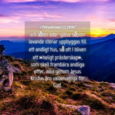 Picture 04 - 1 Petrusbrevet 2:5 SV1917 - och låten eder själva såsom levande stenar - Bible Verse Picture