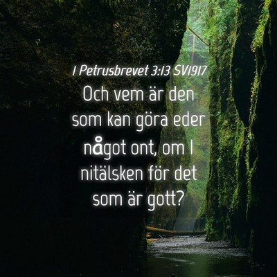 Picture 04 - 1 Petrusbrevet 3:13 SV1917 - Och vem är den som kan göra eder något ont, om - Bible Verse Picture