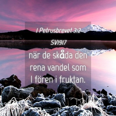 Picture 04 - 1 Petrusbrevet 3:2 SV1917 - när de skåda den rena vandel som I fören i - Bible Verse Picture