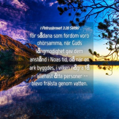 Picture 04 - 1 Petrusbrevet 3:20 SV1917 - för sådana som fordom voro ohörsamma, när - Bible Verse Picture