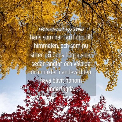 Picture 04 - 1 Petrusbrevet 3:22 SV1917 - hans som har farit upp till himmelen, och som nu - Bible Verse Picture