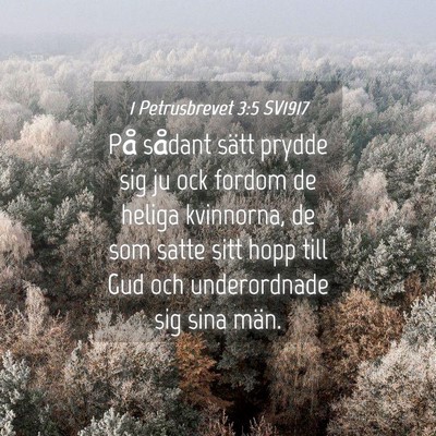 Picture 04 - 1 Petrusbrevet 3:5 SV1917 - På sådant sätt prydde sig ju ock fordom de - Bible Verse Picture