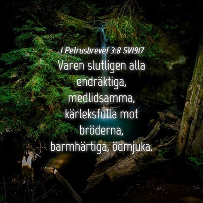 Picture 04 - 1 Petrusbrevet 3:8 SV1917 - Varen slutligen alla endräktiga, medlidsamma, - Bible Verse Picture