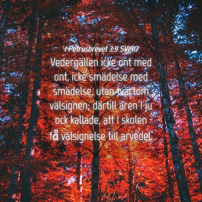 Picture 04 - 1 Petrusbrevet 3:9 SV1917 - Vedergällen icke ont med ont, icke smädelse med - Bible Verse Picture