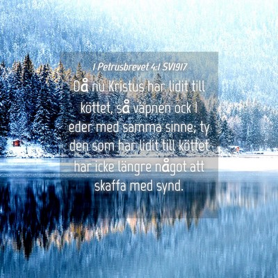 Picture 04 - 1 Petrusbrevet 4:1 SV1917 - Då nu Kristus har lidit till köttet, så - Bible Verse Picture