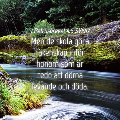 Picture 04 - 1 Petrusbrevet 4:5 SV1917 - Men de skola göra räkenskap inför honom som - Bible Verse Picture