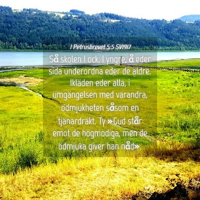 Picture 04 - 1 Petrusbrevet 5:5 SV1917 - Så skolen I ock, I yngre, å eder sida - Bible Verse Picture