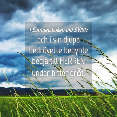 Picture 04 - 1 Samuelsboken 1:10 SV1917 - och i sin djupa bedrövelse begynte bedja till - Bible Verse Picture