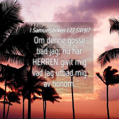 Picture 04 - 1 Samuelsboken 1:27 SV1917 - Om denne gosse bad jag; nu har HERREN givit mig - Bible Verse Picture