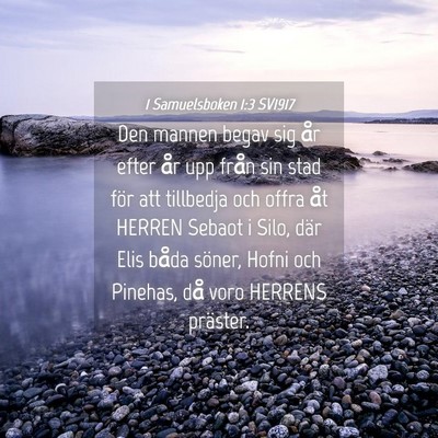 Picture 04 - 1 Samuelsboken 1:3 SV1917 - Den mannen begav sig år efter år upp från sin - Bible Verse Picture