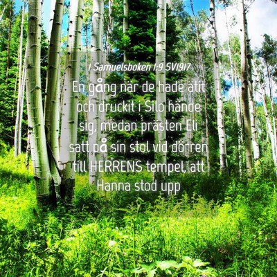 Picture 04 - 1 Samuelsboken 1:9 SV1917 - En gång när de hade ätit och druckit i Silo - Bible Verse Picture