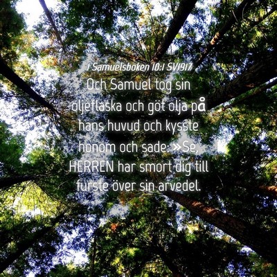 Picture 04 - 1 Samuelsboken 10:1 SV1917 - Och Samuel tog sin oljeflaska och göt olja på - Bible Verse Picture